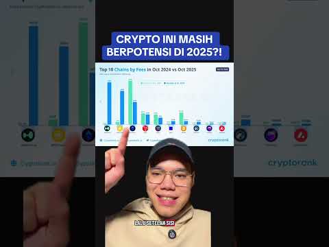 CRYPTO APA YANG MASIH BERPOTENSI DI TAHUN 2025?! ADA HYPE DAN BNB! PERTANDA BAGUS?
