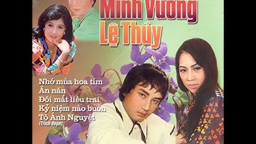 Đám Cưới Đầu Xuân (Tân Cổ Giao Duyên 1975) - Minh Vương ft Lệ Thủy (Audio)