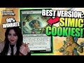 The best version of the best standard deck simic cookies mtg arena gameplay