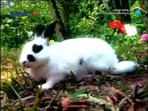 Film TV MNCTV Terbaru Putri Angsa Dan Kuda Ajaib