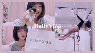 VLOG  운동복 사고, 폴댄스 가고, 애플워치 사고, 고양이랑 노는 일상 (젝시믹스, 반스, 안다르) | 서똥꾸(SEO_DDONGKKU)