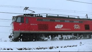 ﾚｯﾄﾞｻﾝﾀﾞｰEF510-14編成信越本線4095ﾚ　名古屋→新潟