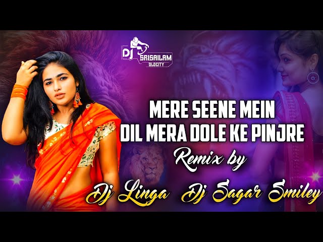 Mere Seene Mein Dil Mera Dole Ke Pinjre Dj Song || Dj Sagar Smiley Dj Linga class=