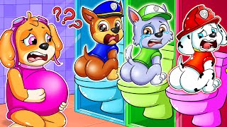 Brewing Cute Baby, Pregnant  But in Toilet  Paw Patrol The Mighty Movie Animation  Rainbow 3