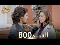 أليف الحلقة 800 دوبلاج عربي أليف الحلقة 800 دوبلاج عربي