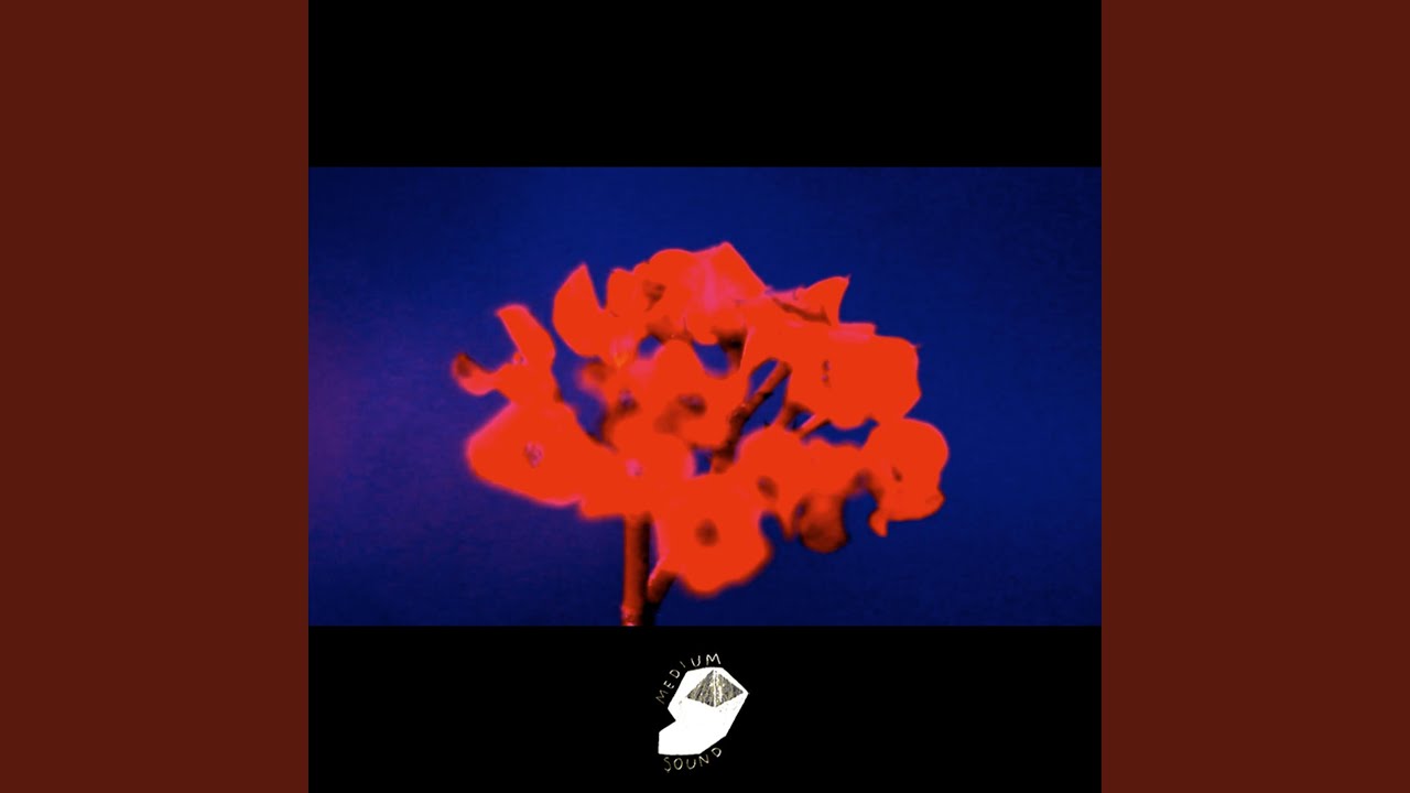 Watch Flower Five on YouTube Watch Flower Five on YouTube
