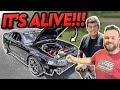 We Built a RARE Saleen Cobra – Terminator Engine Swap!