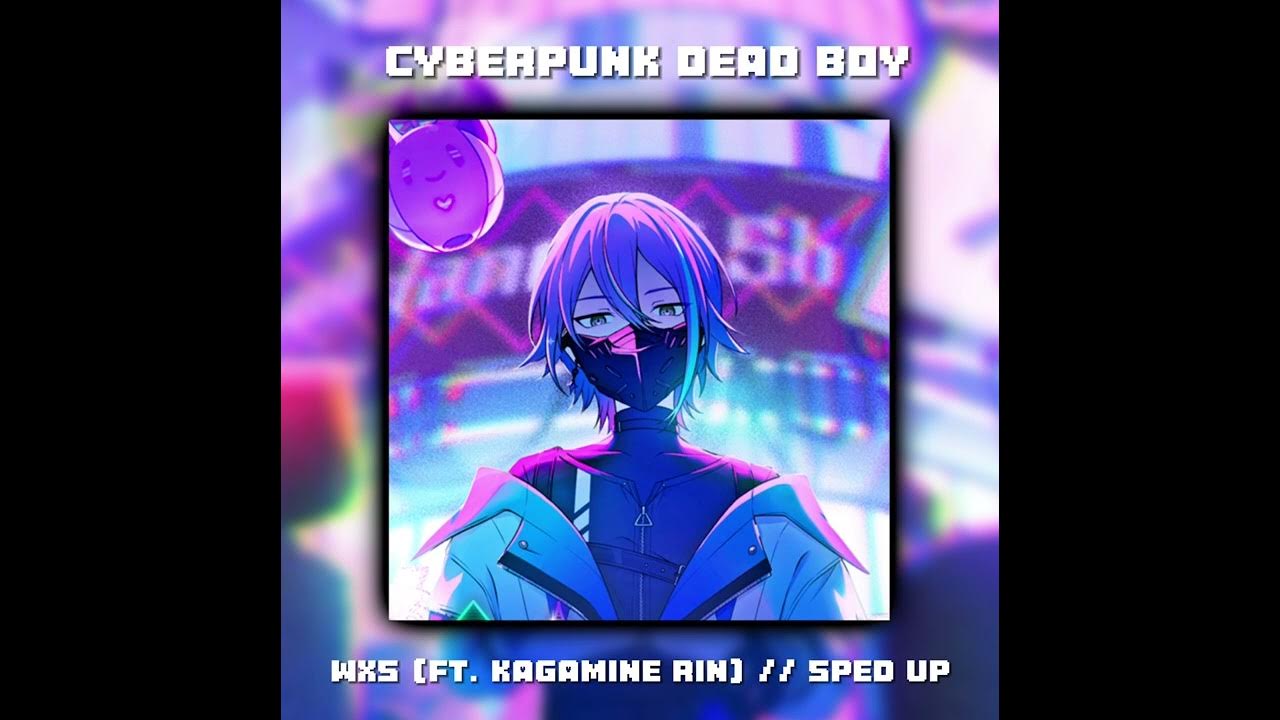 Is my cat is girl or boy. Искусственное дыхание кошке видео. Your cat is dead speed up. Show me your cats. Petting cat meme.