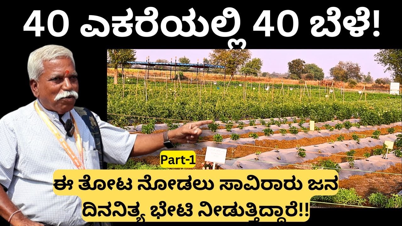 ರೈತರು ಈ ಪದ್ಧತಿ ಅಳವಡಿಸಿಕೊಂಡರೆ ಹೆಚ್ಚಿನ ಇಳುವರಿ ಬೆಳೆಯಬಹುದು!The system that farmers should adopt