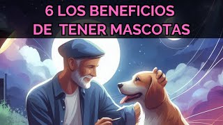 Beneficios de tener máscotas Pros y Contras ¿cómo elegir una máscota?