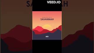 Diviners - Savannah (feat. Philly K) Ringtone Version #ncs #ringtone  #diviners #savannah #music