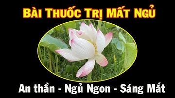 Cây thuốc dân gian giúp sáng mắt, ngủ ngon rất tuyệt vời - THAODUOC.NET