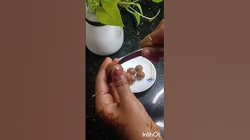 Macadamia Nuts...#food #sweet #shorts #shortsfeed