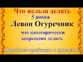 5 ИЮНЯ -  ЛЕВОН ОГУРЕЧНИК. Что нельзя делать в этот день. Народные приметы и традиции.