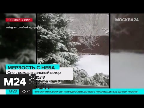 Мокроснежное ненастье. Когда теплая погода вернется в Москву?