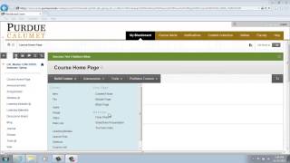 Blackboard Learn - Using Mashups