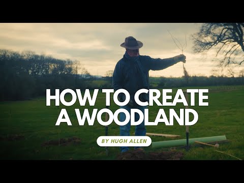 Watch on WoodlandsTV