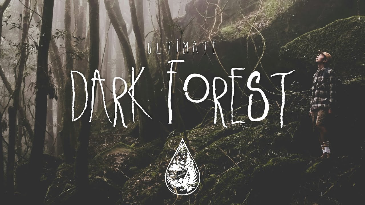 Watch Ultimate Dark Forest 🦇 - A Spooky Indie/Folk/Alternative Playlist on YouTube Watch Ultimate Dark Forest 🦇 - A Spooky Indie/Folk/Alternative Playlist on YouTube