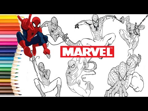 Siêu Nhân Người Nhện - Tô Màu Siêu Nhân Nhện Các Màu- Dạy Vẽ Cho Bé//Coloring spider man