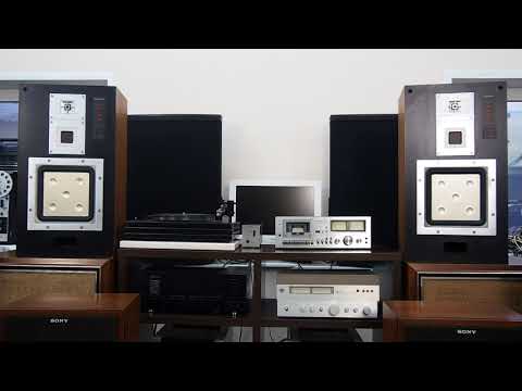 SONY　ソニー　APM-77　ミッドレンジ　ツィーター　スピーカーユニット SONY APM-77/APM-77W APM-77:h,000(1台、1981年発売) APM-77W
