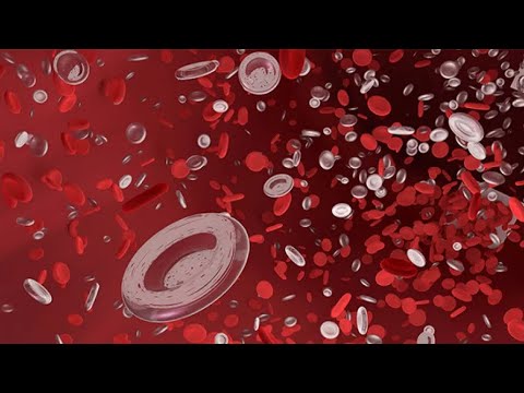 فيديو: كيف يتم نقل الأمونيا إلى الكبد من العضلات على سبيل المثال؟