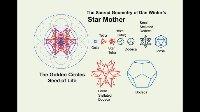Dan Winter's Star Mother Model: The Fractal Geometry of Implosion, DNA, and  Human Energy field
