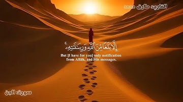 خشوع لا يوصف | تلاوة عذبة هادئة من سورة {الجن} بصوت القاريء (طارق محمد).