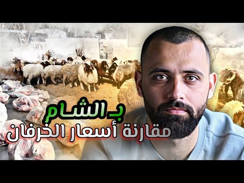 مقارنة أسعار الخرفان بين دمشق وصيدنايا وزعنا لحم الخروف ب الطريق