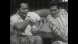 Nasib Labu Labi (P. Ramlee) - Ini Kepala Bapak Kau