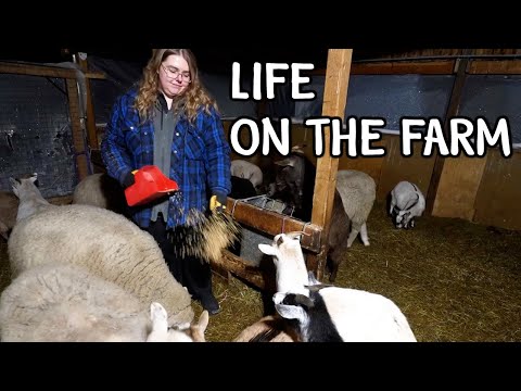 A Full Day & Night On Our Farm | Real Daily Routine