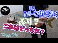 腰波だけどインサイドで思ったより出来た。