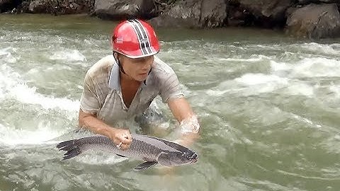 THEO CHÂN NGƯỜI CÓ KINH NGHIỆM ĐI QUĂNG CHÀI BẮT CÁ SÔNG | quá nhanh và nguy hiểm