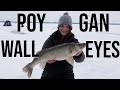 Lake Poygan Walleyes (EPIC TWO DAYS)