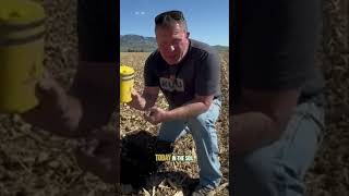 Soil Tech Sensor Install: Eyes Underground for Better Agronomy