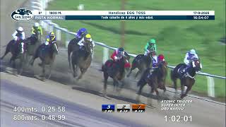Vidéo de la course PMU HANDICAP EGG TOSS