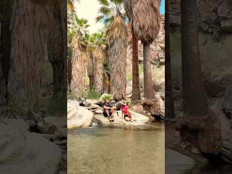 This Is Palm Springs?!