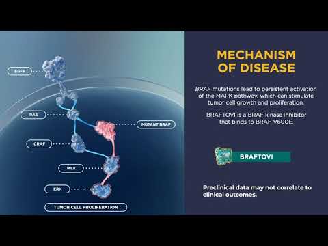 BRAFTOVI® (encorafenib) Mechanism of Action