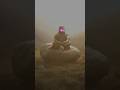 Beacons #ambient #shorts