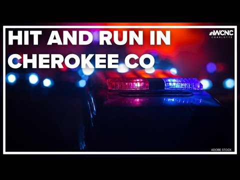 Search for deadly hit and run suspect - YouTube