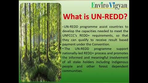 REDD and REDD+ Reducing Emissions from deforestation and forest degradation- EnviroVigyan