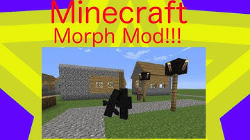 Morph Mod!!! Transform into anything!