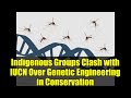 Indigenous Groups Clash with IUCN Over Genetic Engineering in Conservation