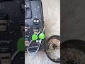 phone chain #youtubeshorts #diy #shortvideo #shorts #phonecase #phonecharm