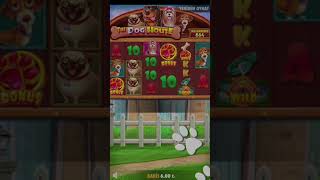 Abarttın Biraz Karabaş The Dog House Megaways Rekor