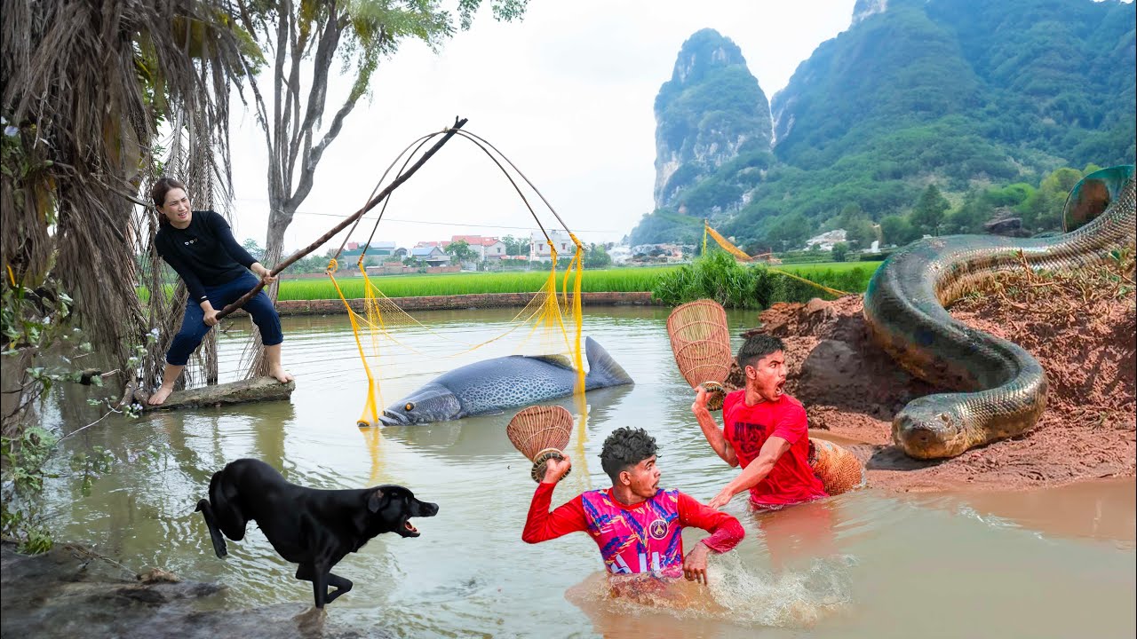SMART DOG fights giant ANACONDA to protect fish pond - Animals Rescue Story. Garden Life