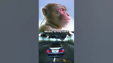 M3 GTR Engine Sound Is MUSIC TO MY EARS 