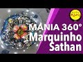 🔴 Radio Mania - Marquinho Sathan - Falsa Consideração 360º