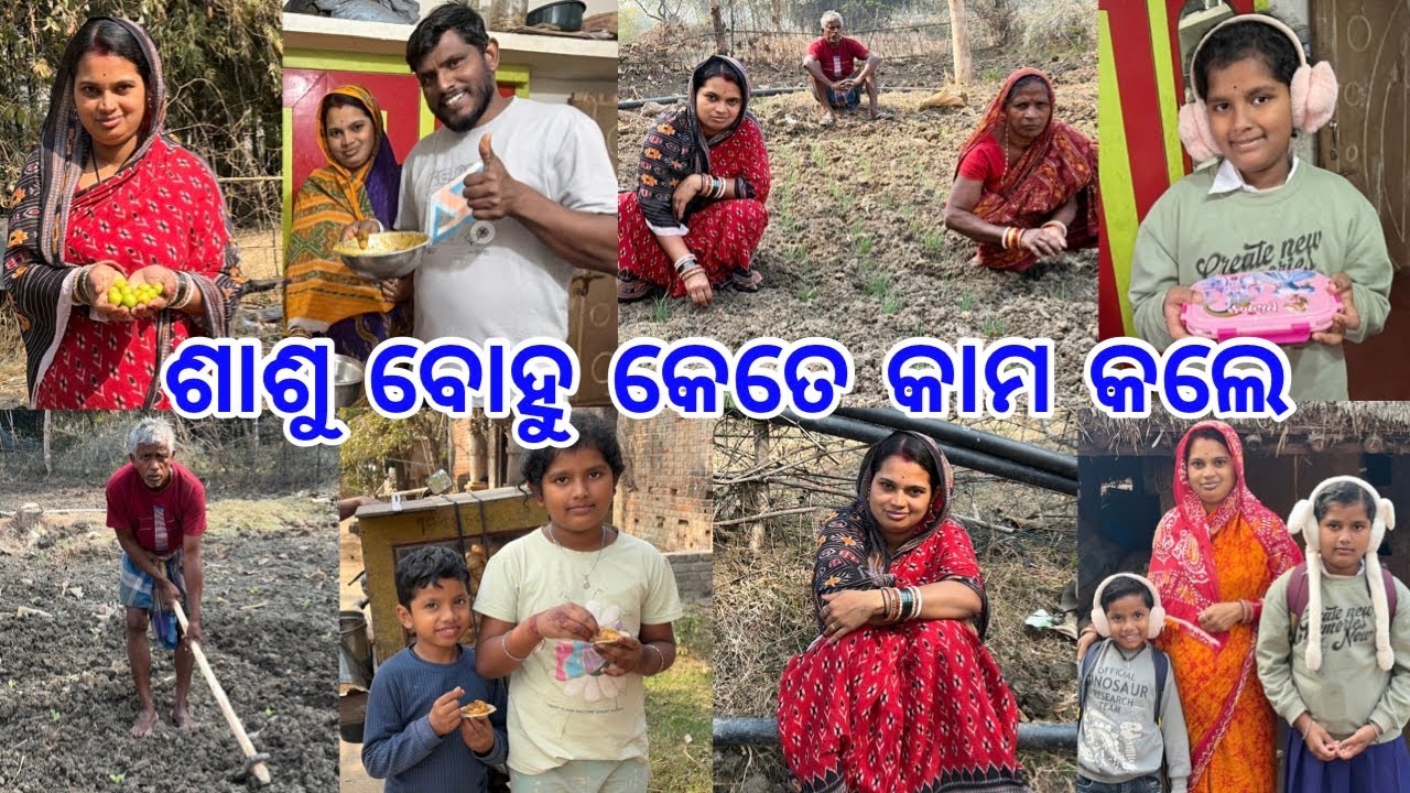 ଶାଶୁ ବୋହୁ ବାଡ଼ିରେ କେତେ କାମ କଲେ ଆଜି @lifeofsridhar9099 