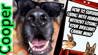 Humans Are Weird: A German Shepherd's Guide. Tips for Living With Humans Part 1