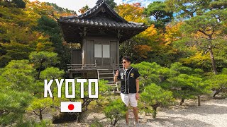 🇯🇵 KYOTO is truly a magical place ! | what to do in Kyoto, JAPAN
